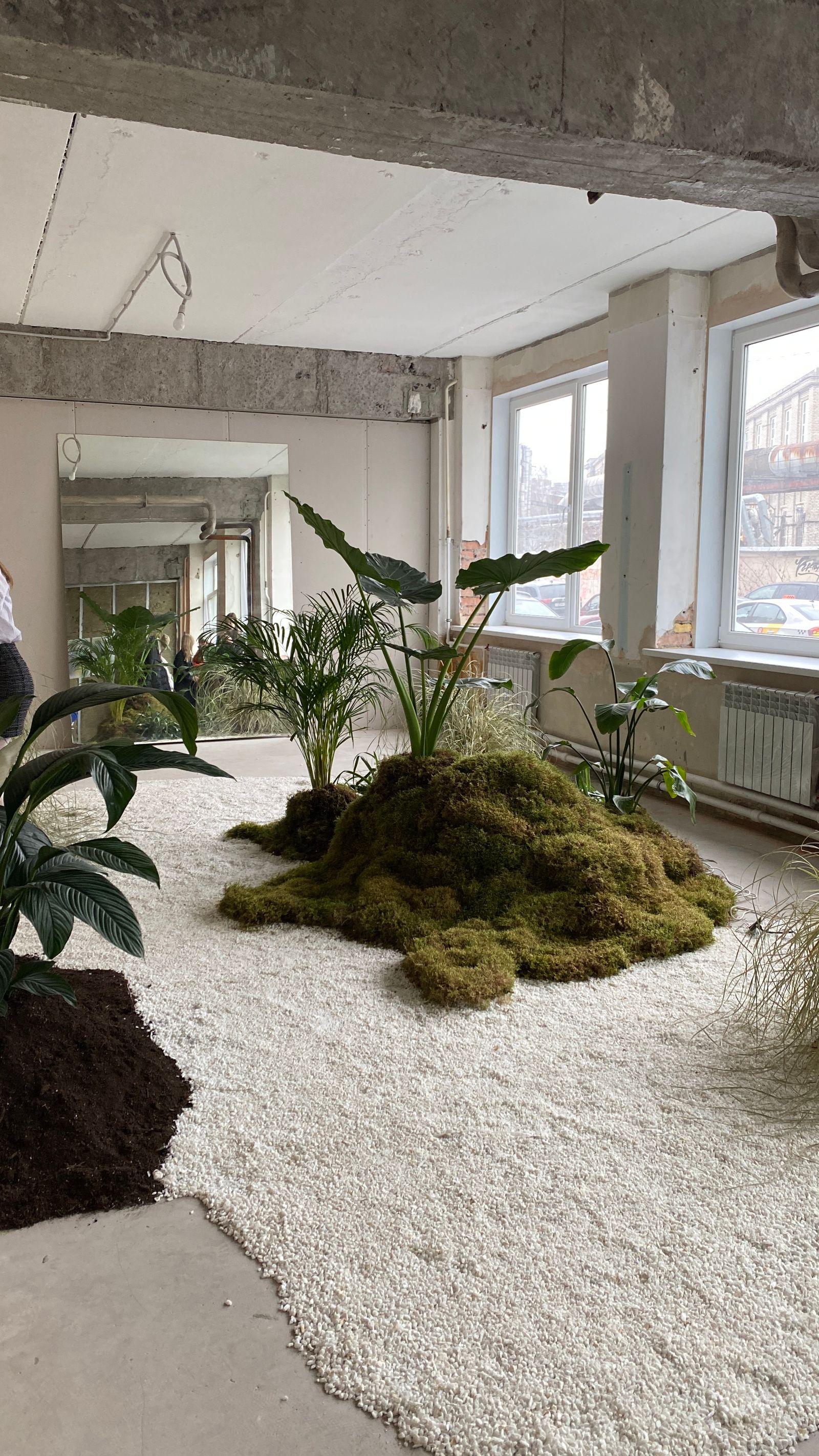 Interior installation combining moss and indoor plants